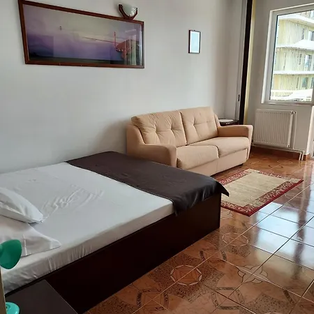 Apartment Garsoniera Doina *